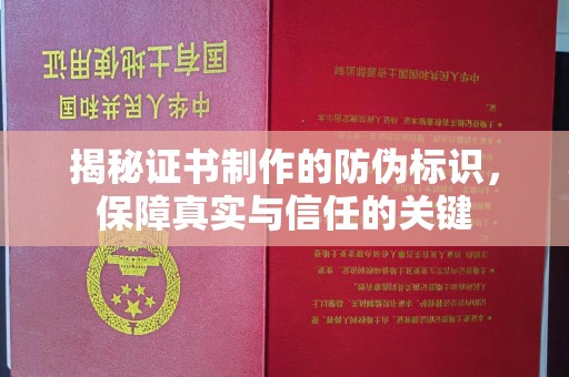 虎林揭秘证书制作的防伪标识，保障真实与信任的关键