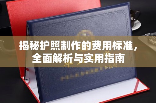 虎林揭秘护照制作的费用标准，全面解析与实用指南