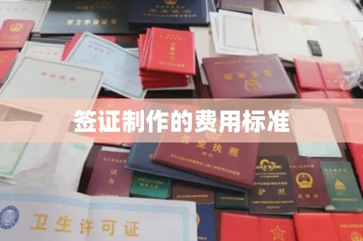 虎林签证制作的费用标准